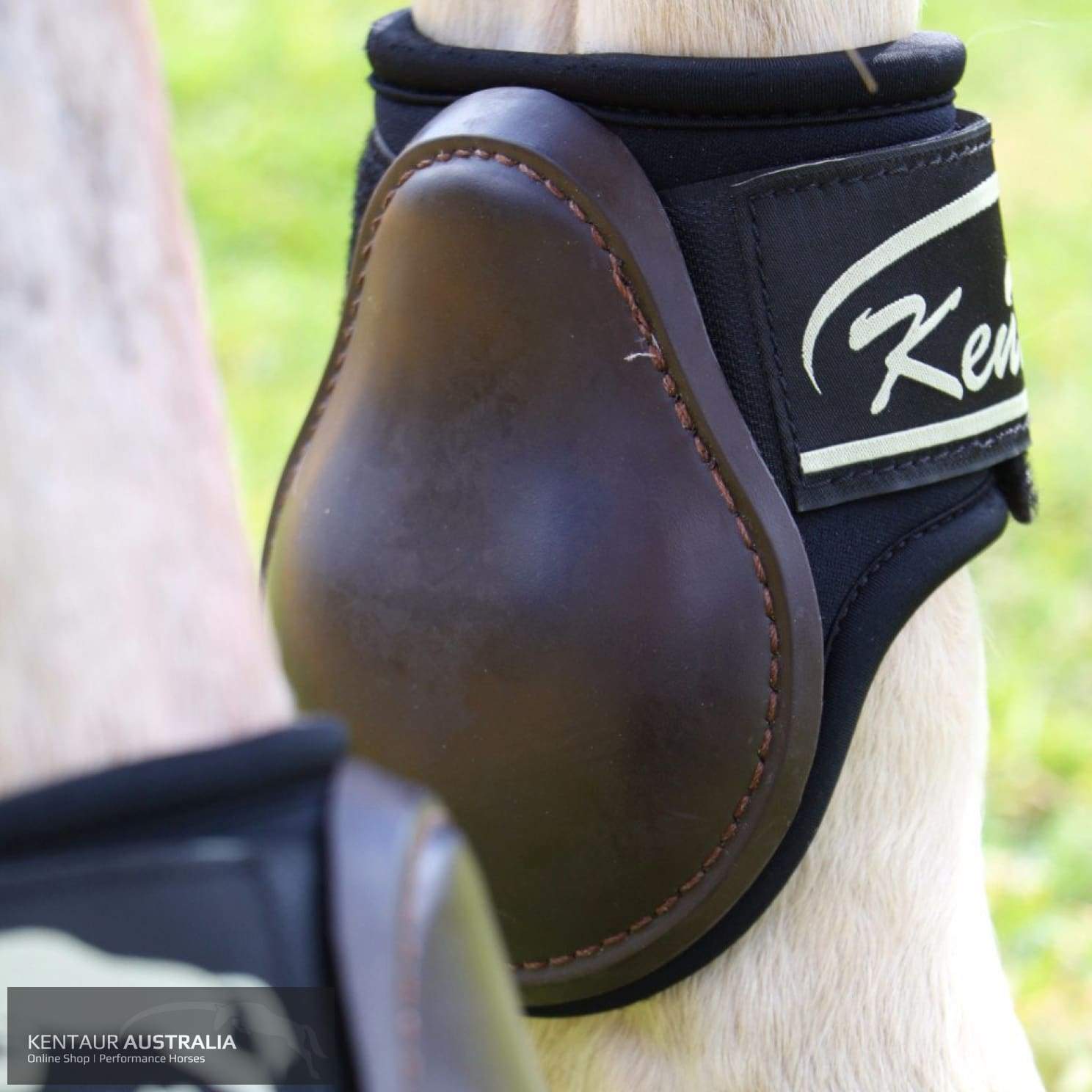 Kentaur Pro Carbon Fetlock Boots Brown / Full Jumping Boots