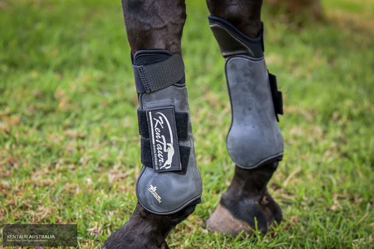 Kentaur ’Pro Carbon’ Front Jumping Boots with Knee Protection Jumping Boots