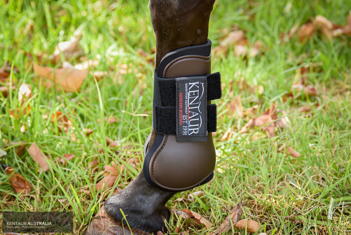 Kentaur ‘Profi’ Front Jumping Boots Brown / WB Jumping Boots