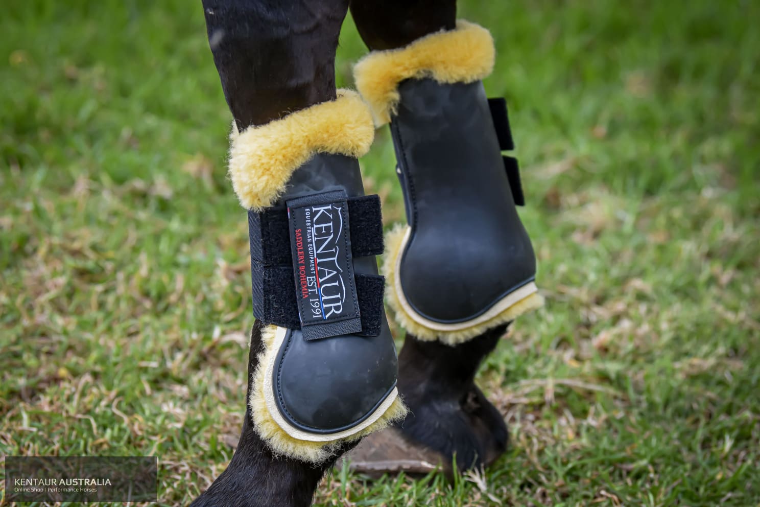 Kentaur ‘Profi’ Front Jumping Boots with Sheepskin Jumping Boots