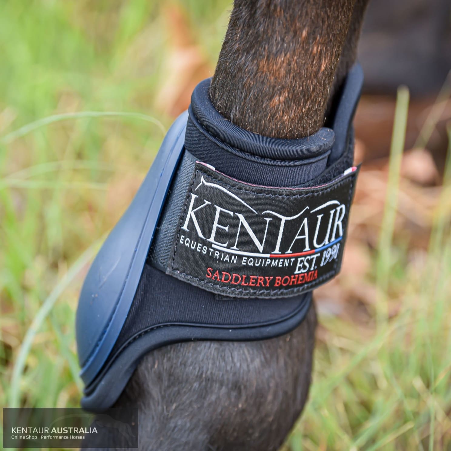 Kentaur ‘Profi’ Hind Jumping Boots Navy / One size fits cob + full Jumping Boots