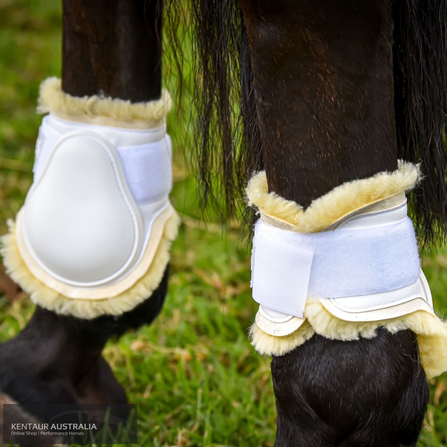 Kentaur ‘Profi’ Hind Jumping Boots with Sheepskin Jumping Boots