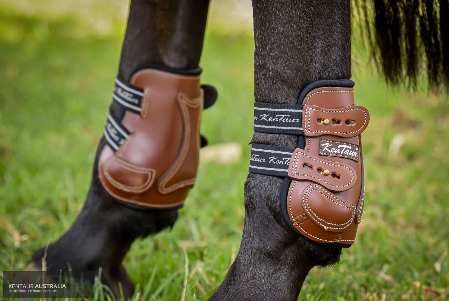 Kentaur ’Roma Flicker’ Hind Boots Training Jumping Boots
