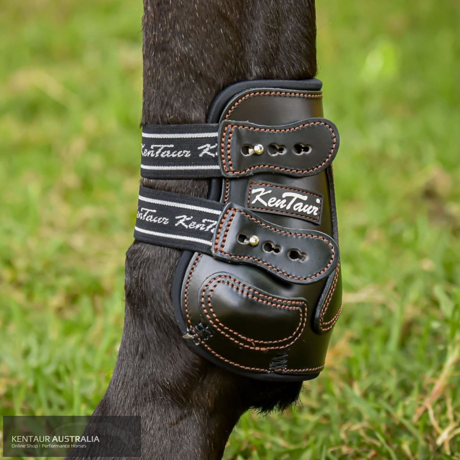 Kentaur ’Roma Flicker’ Hind Boots Black / Full Training Jumping Boots