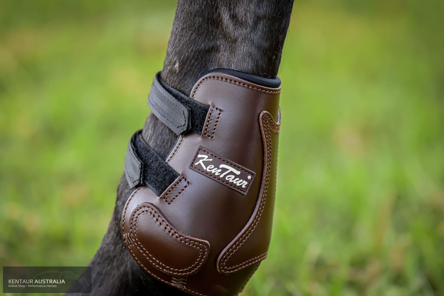 Kentaur ‘Roma Pinch’ Rear Boots Training Jumping Boots