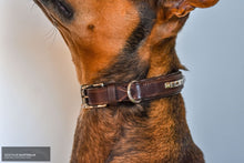 Load image into Gallery viewer, Kentaur ’Semi-Roll’ Dog Collar Brown / 40cm Dog Collars
