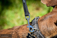 Load image into Gallery viewer, Kentaur ’Semi-Roll’ Dog lead Dog Lead