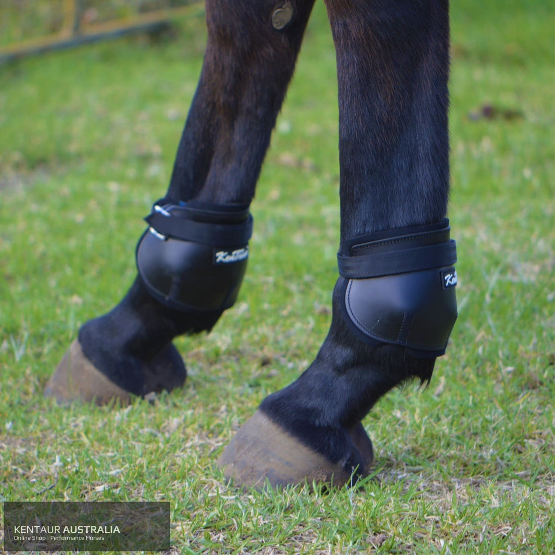 Kentaur Short Leather Hind Pinch Boots Training Jumping