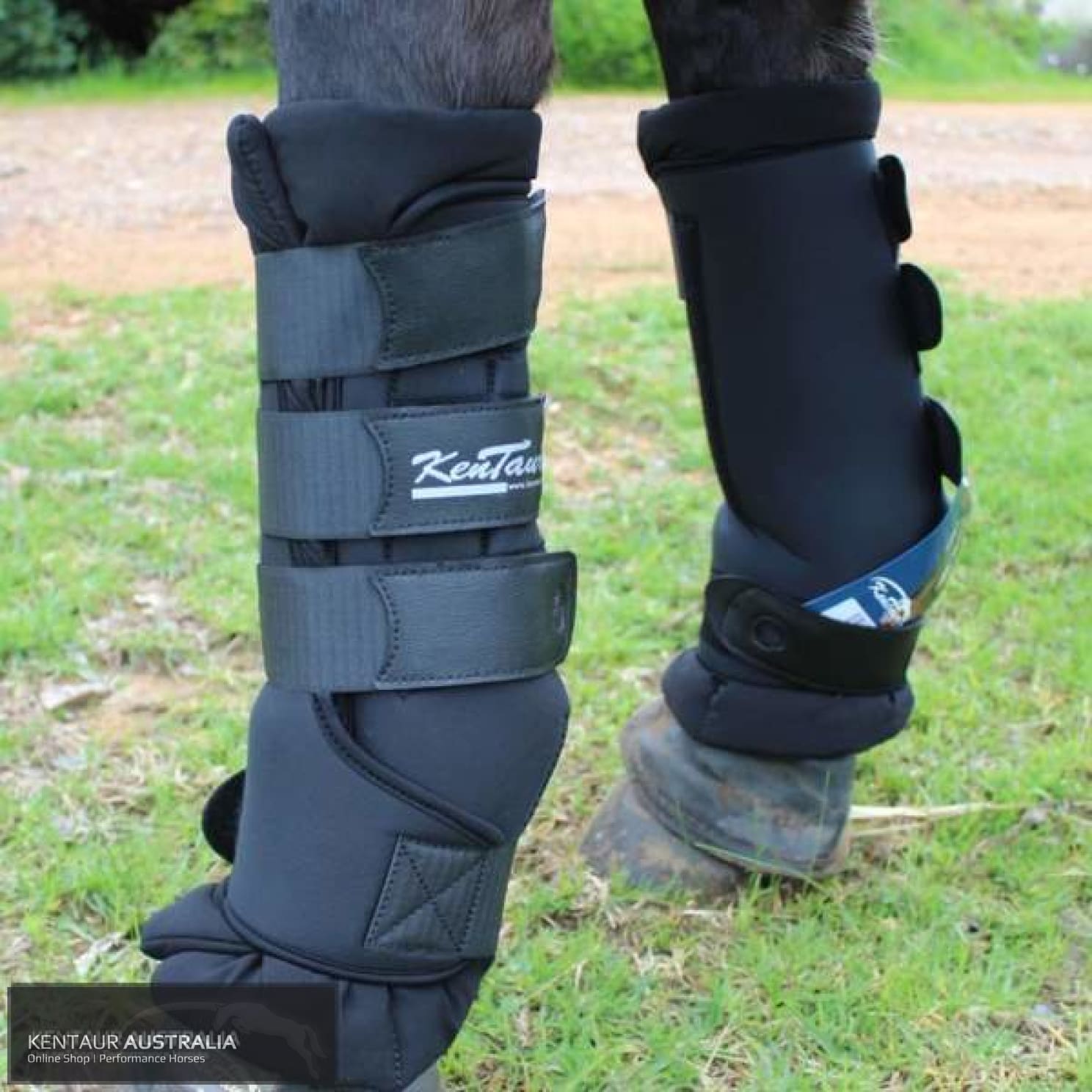 Kentaur Australia - Kentaur Stable Boots