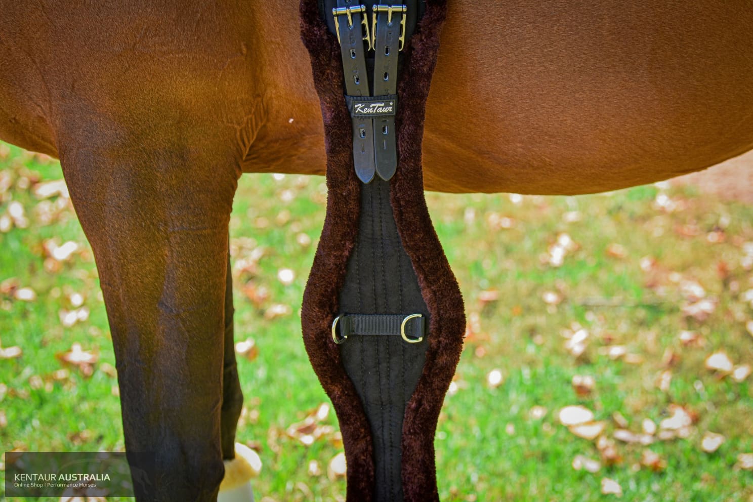 Kentaur ’Stockholm’ Dressage Girth Dressage Girth