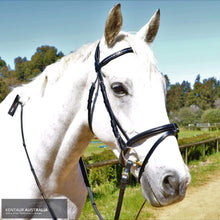 Load image into Gallery viewer, Kentaur Hanoverian Bridle With Decorative Browband And Removable Flash Bridles