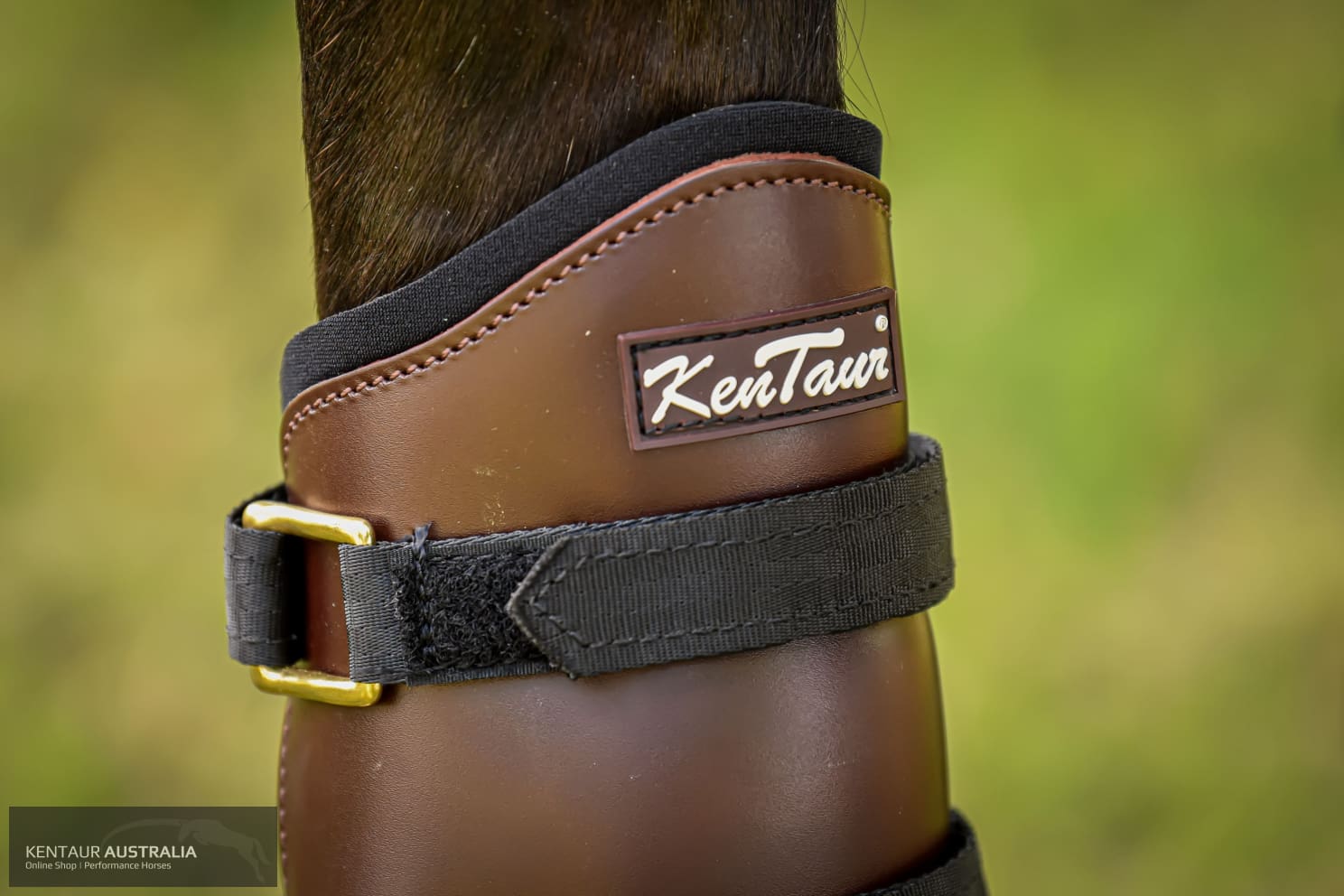 Kentaur Tall Leather Hind Pinch Boots Dark Brown / Full Training Jumping Boots