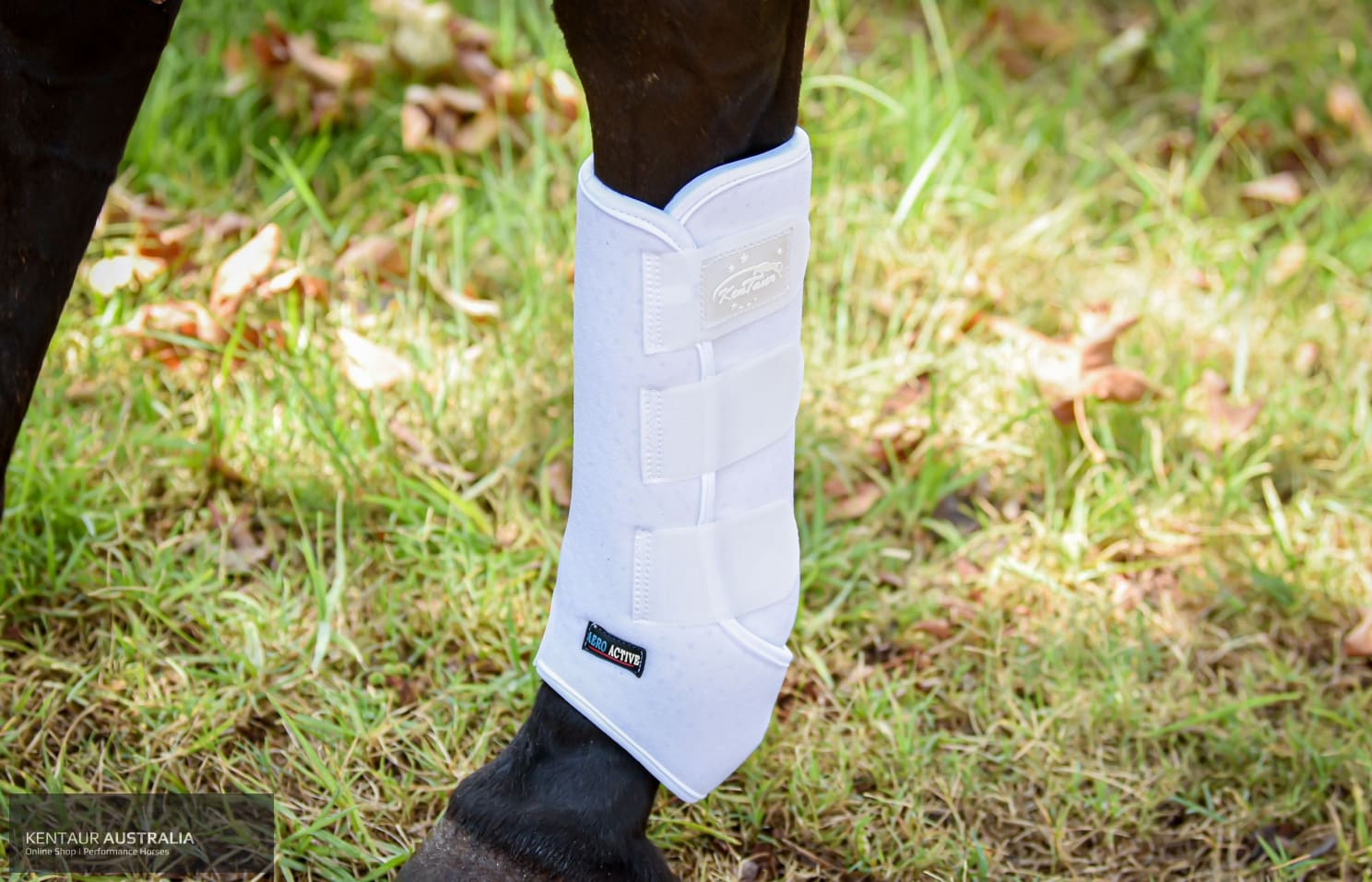 Kentaur ‘Velcro’ Front Dressage Boots dressage boots