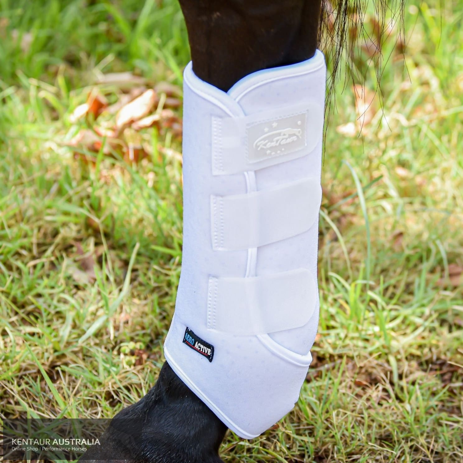 Kentaur ‘Velcro’ Front Dressage Boots White / Full dressage boots