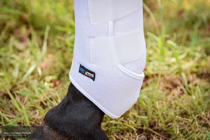 Kentaur ‘Velcro’ Hind Dressage Boots dressage boots