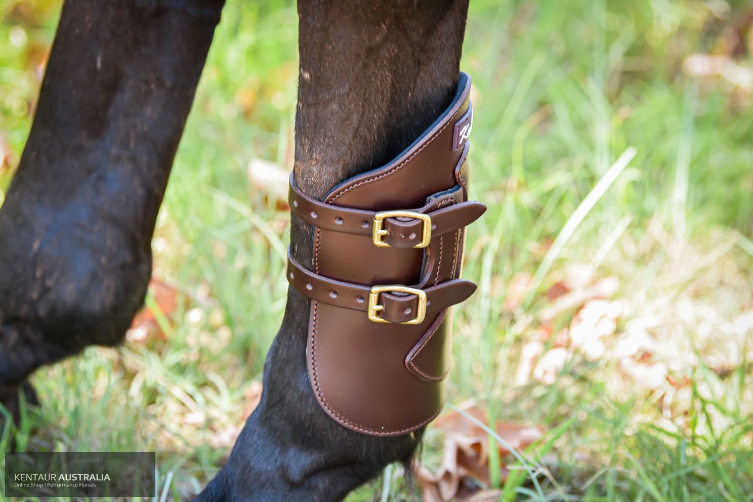 Weighted bell boots for on sale horses