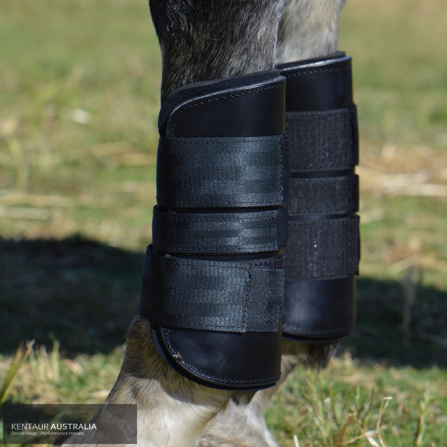 Weighted shop fetlock boots