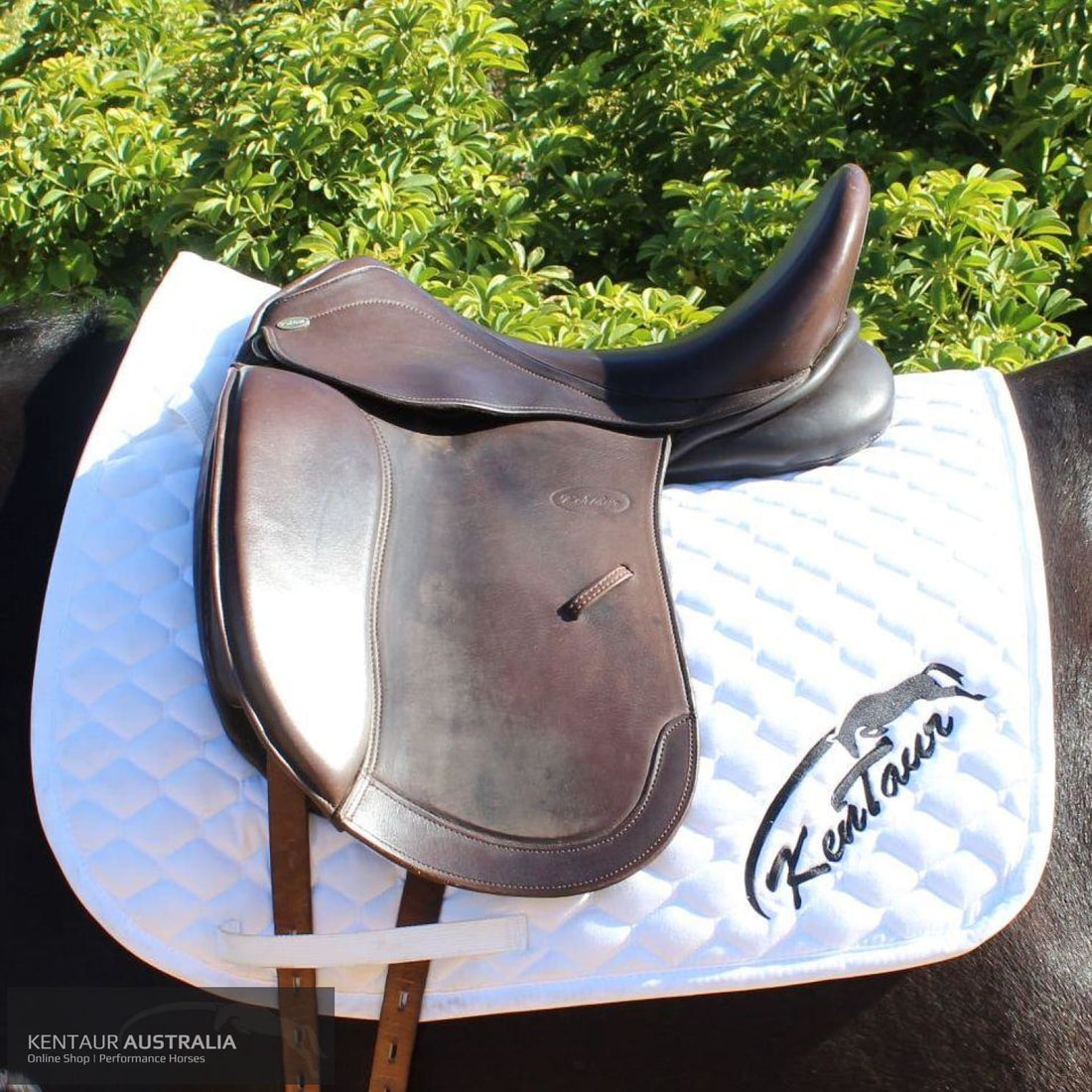 Kentaur Young Dressage DC Saddle Brown Dressage Saddles