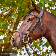 Load image into Gallery viewer, Montar ’Excellence’ Bridle Brown / Full Bridles