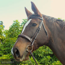 Load image into Gallery viewer, Montar Hunter Bridle Brown / Cob General