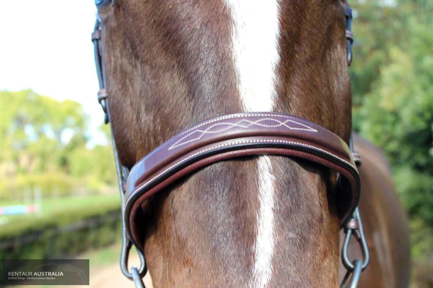 Montar Hunter Bridle General