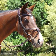 Load image into Gallery viewer, Montar Lyon Bridle Brown / Full Bridles