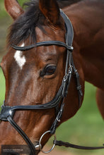 Load image into Gallery viewer, Montar ’Lyon’ Bridle Bridles