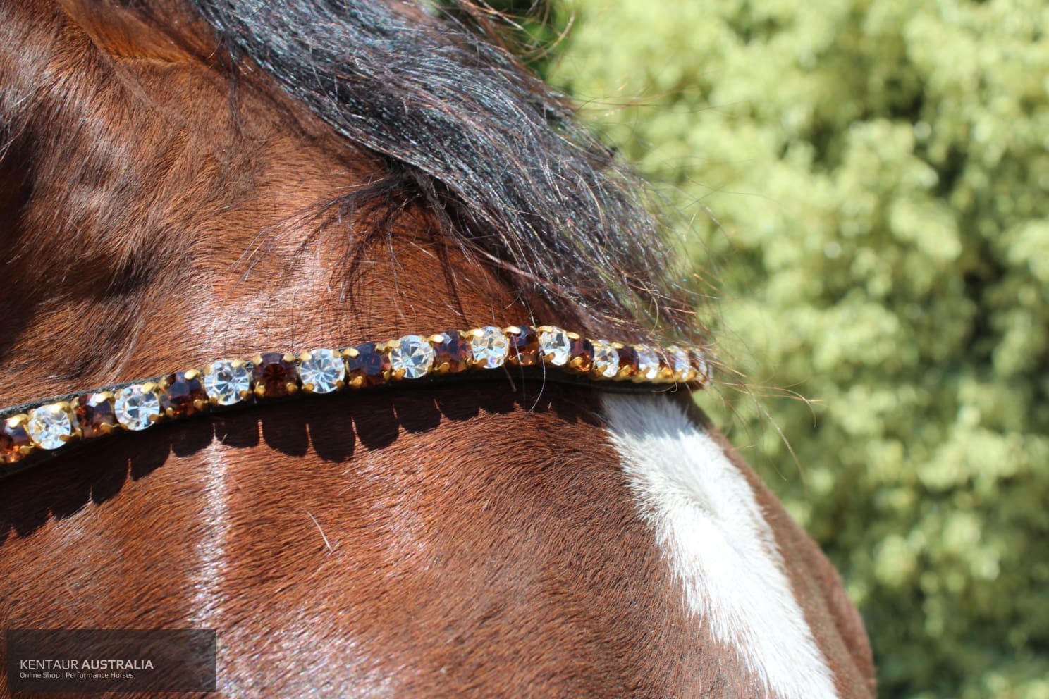 Montar Mighty Browband Brown/White / Full / Black Bridles