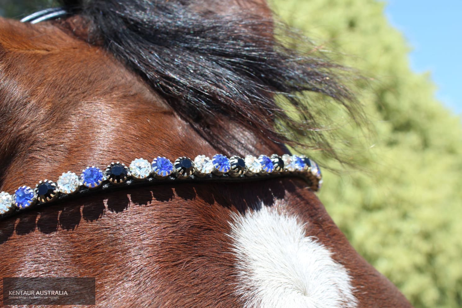 Montar Mighty Browband Clear/Saphire/Jet / Full / Black Bridles