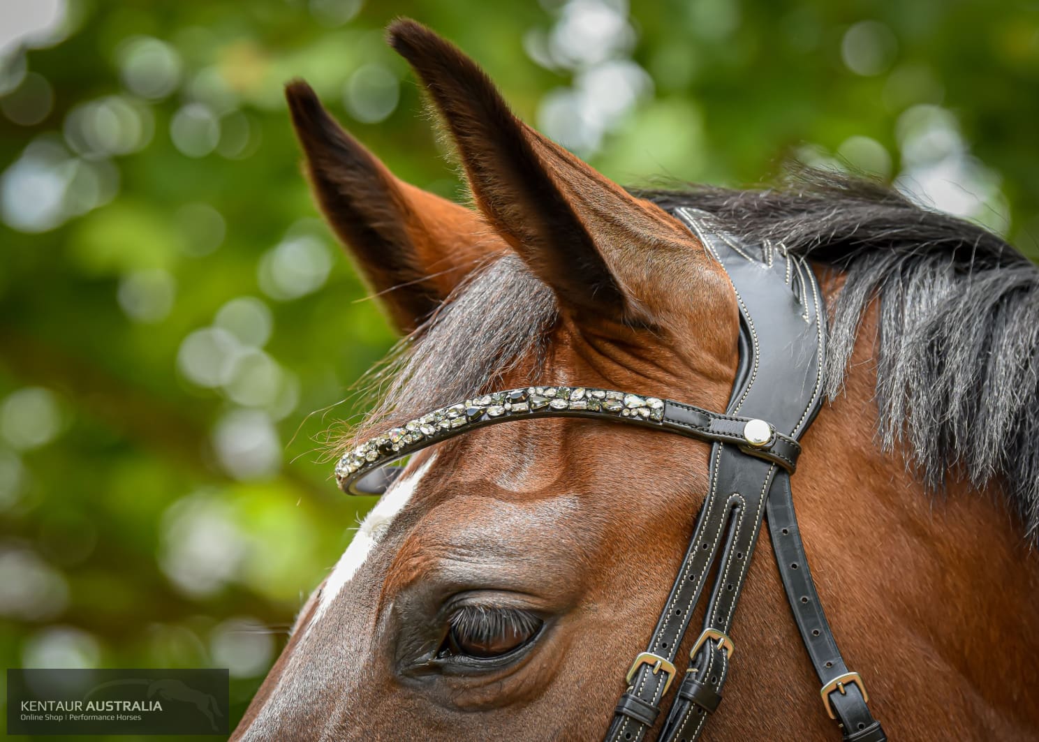 Montar ’Mighty’ Browband Bridles