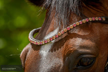 Load image into Gallery viewer, Montar ’Mighty’ Browband Bridles