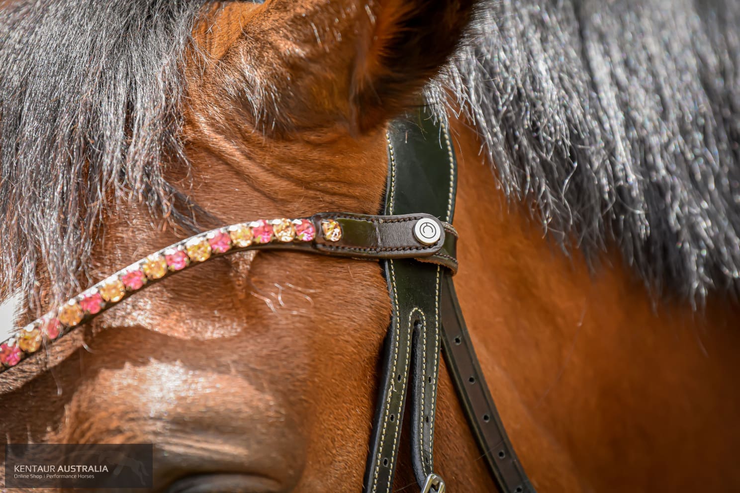 Montar ’Mighty’ Browband Bridles