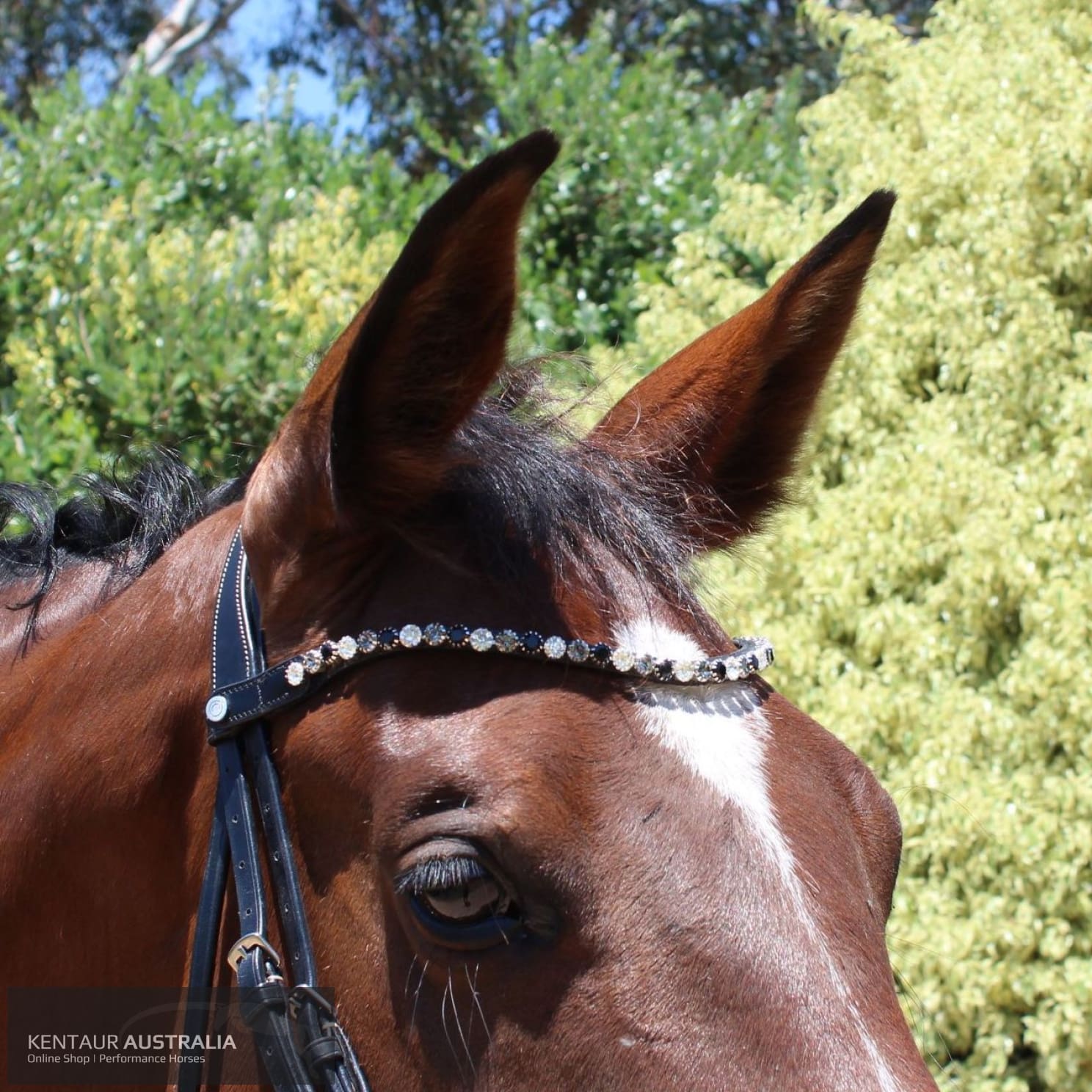 Montar Mighty Browband Mix Clear/Black / X-Full / Brown Bridles