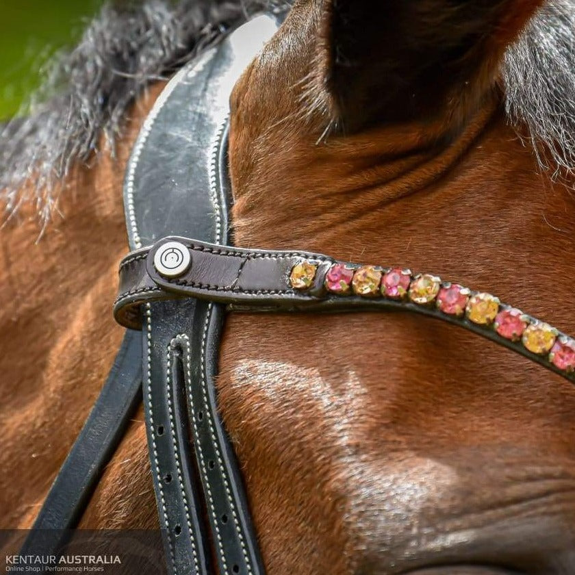Montar ’Mighty’ Browband Peach/Brown / Full / Black Bridles