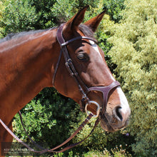 Load image into Gallery viewer, Montar Monarch Bridle Brown / Cob Bridles