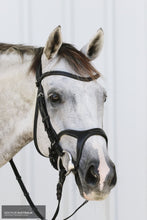Load image into Gallery viewer, Montar Monarch Bridle Bridles