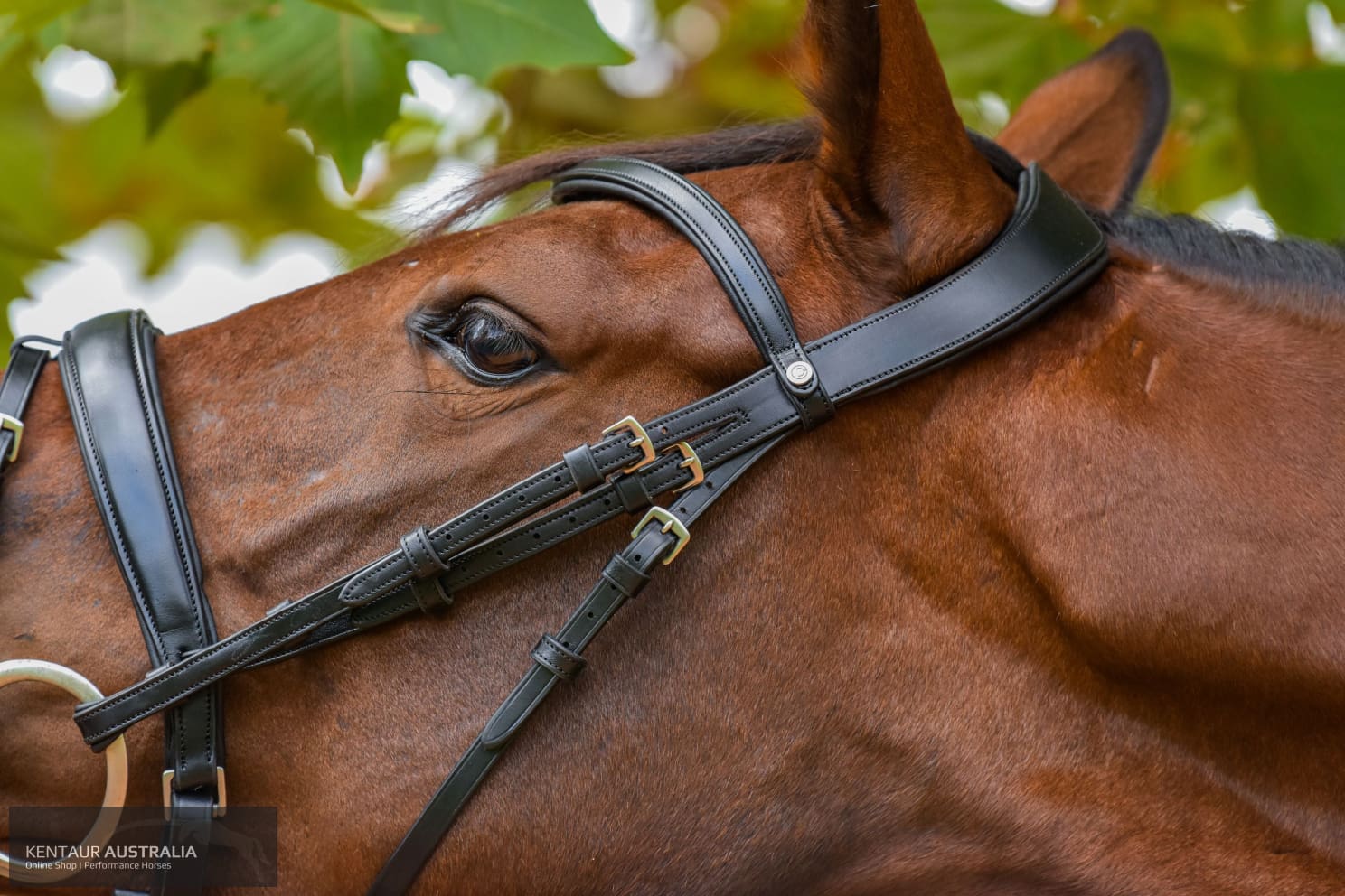 Montar ‘Normandie’ Bridle Bridles