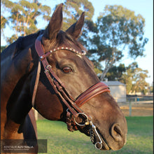 Load image into Gallery viewer, Montar Normandie Double Bridle Brown / Full Bridles
