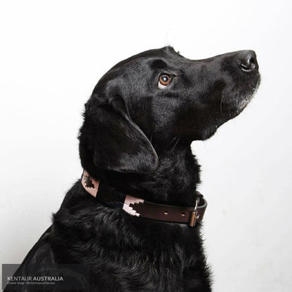 Pampeano ’Hermoso’ Dog Collar S Dog Collars