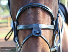 Load image into Gallery viewer, Silver Crown ’Brazilian’ Noseband Bridles