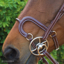 Load image into Gallery viewer, Silver Crown H Round Leather Noseband Bridles