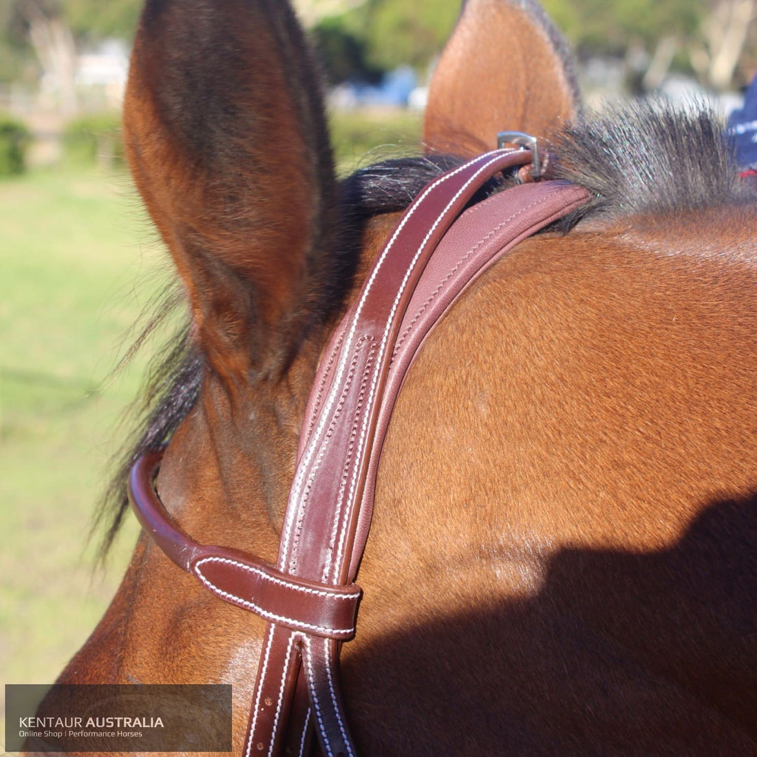 Silver Crown La Baulle Ii Headpiece Bridles