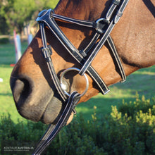 Load image into Gallery viewer, Silver Crown Spider Noseband Bridles
