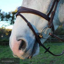 Load image into Gallery viewer, Silver Crown US Noseband Bridles