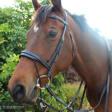 Load image into Gallery viewer, Silver Crown Valla Noseband Bridles