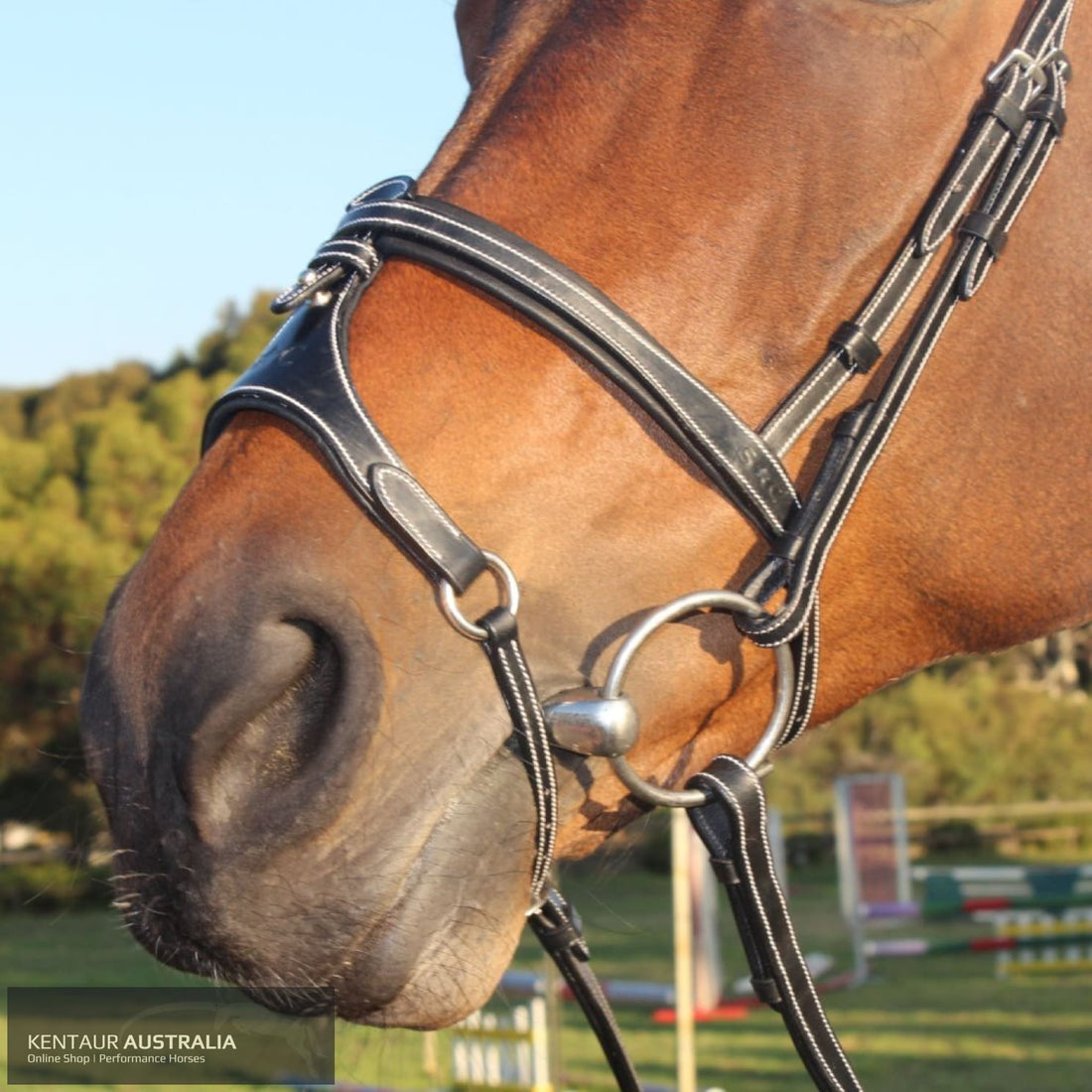 Silver Crown X Nose II Noseband Black Bridles