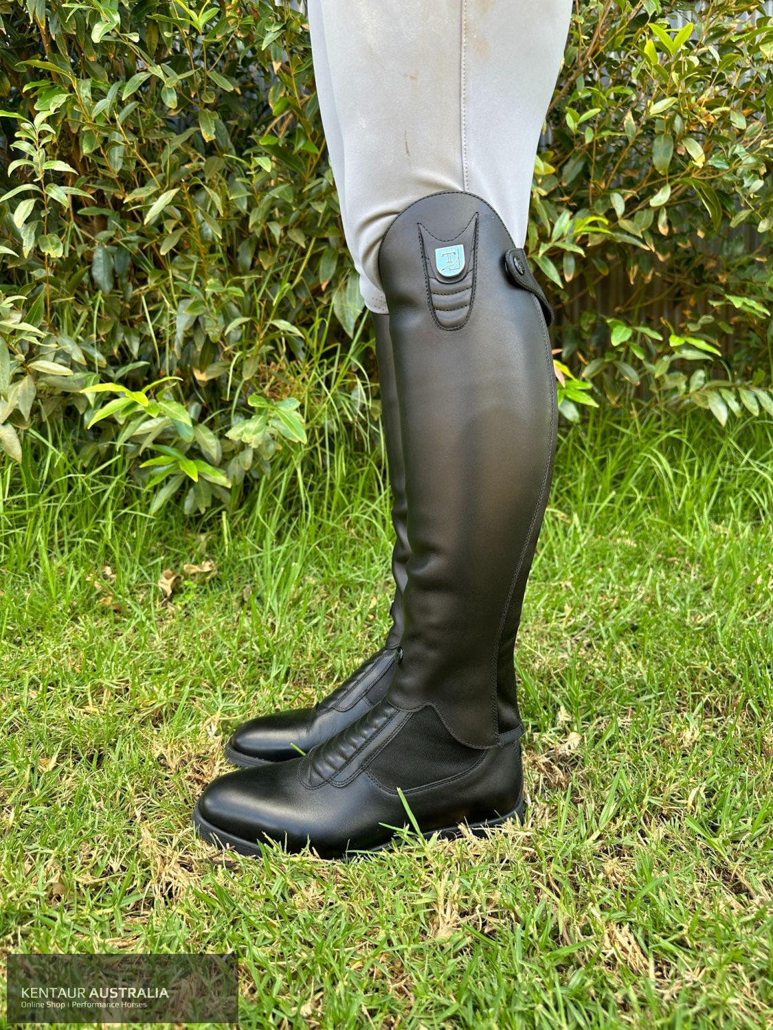 Tucci hotsell dressage boots