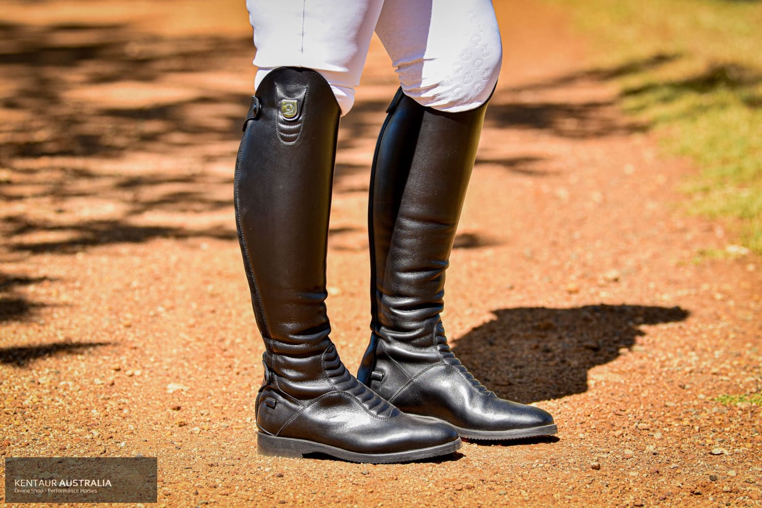 Tucci horse shop riding boots